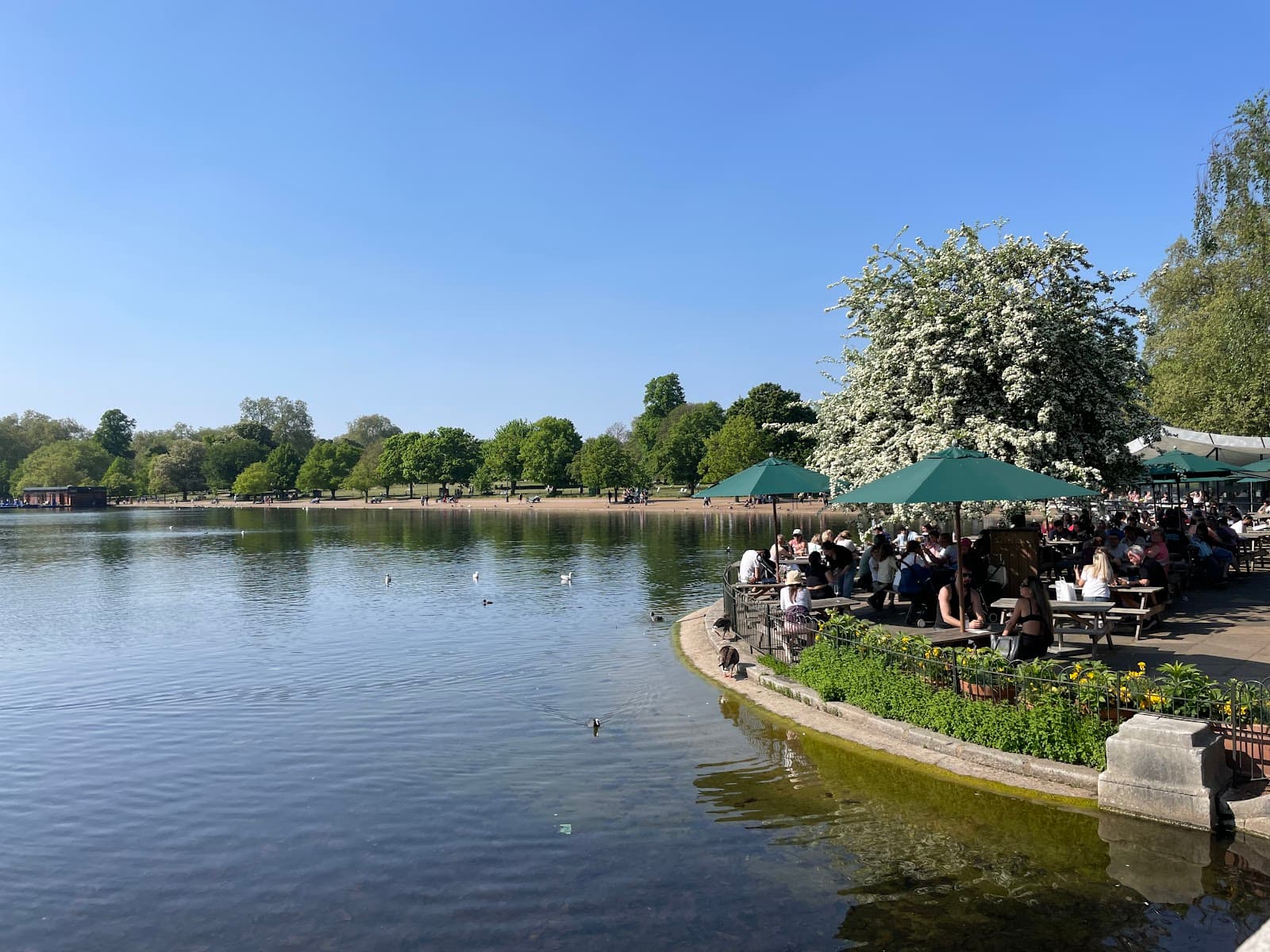 Serpentine Bar & Kitchen