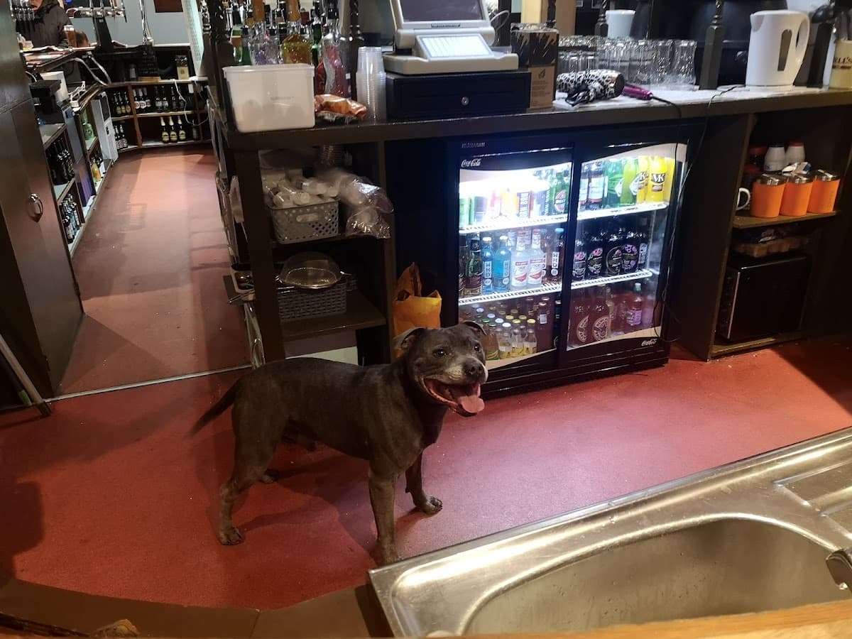 Bowbridge Bar