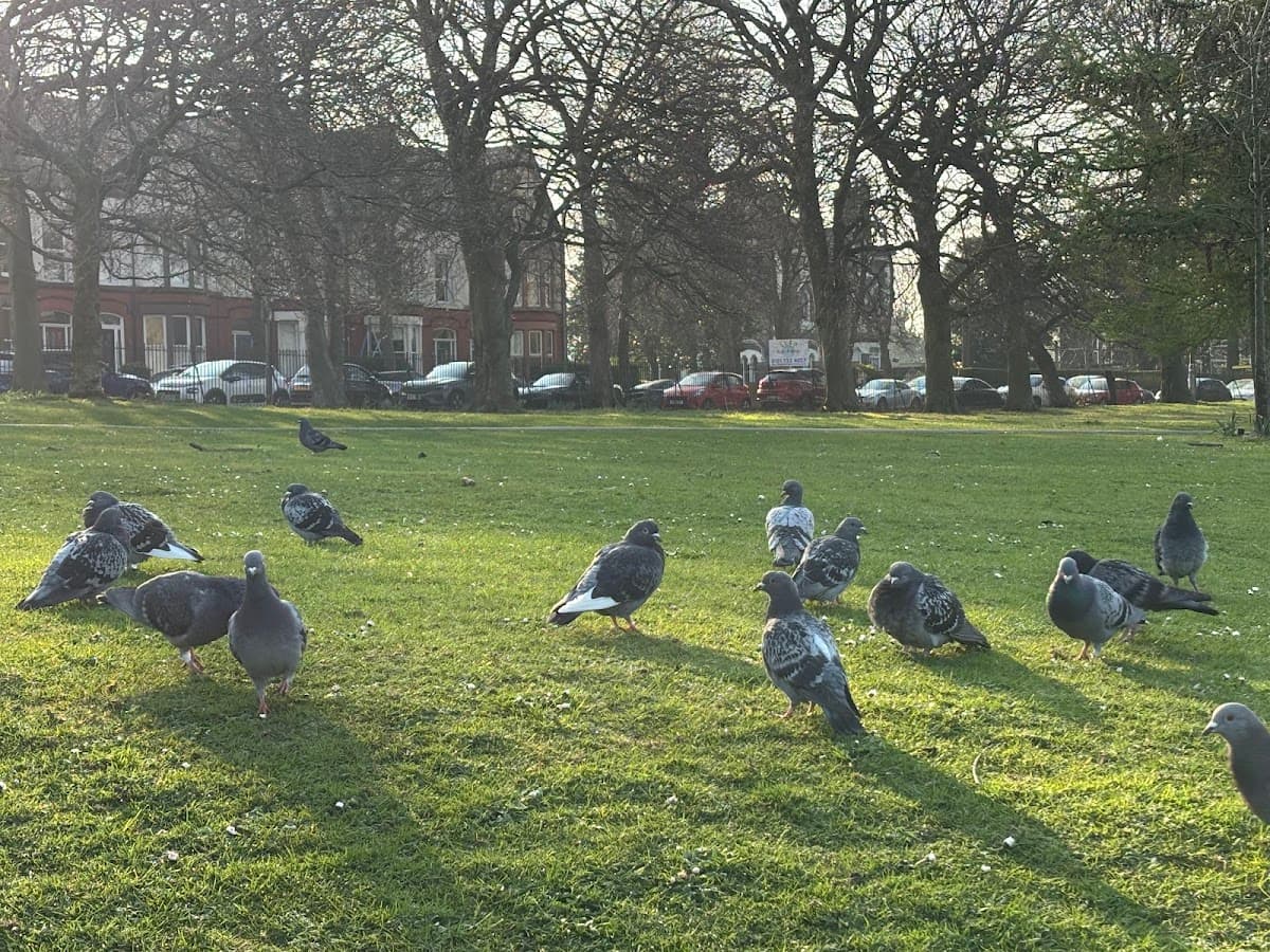 Greenbank Park