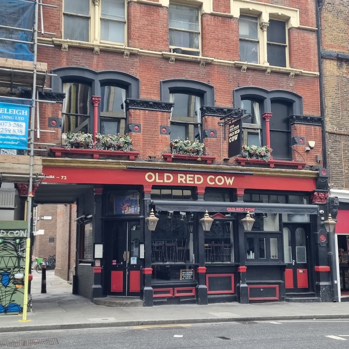 Old Red Cow