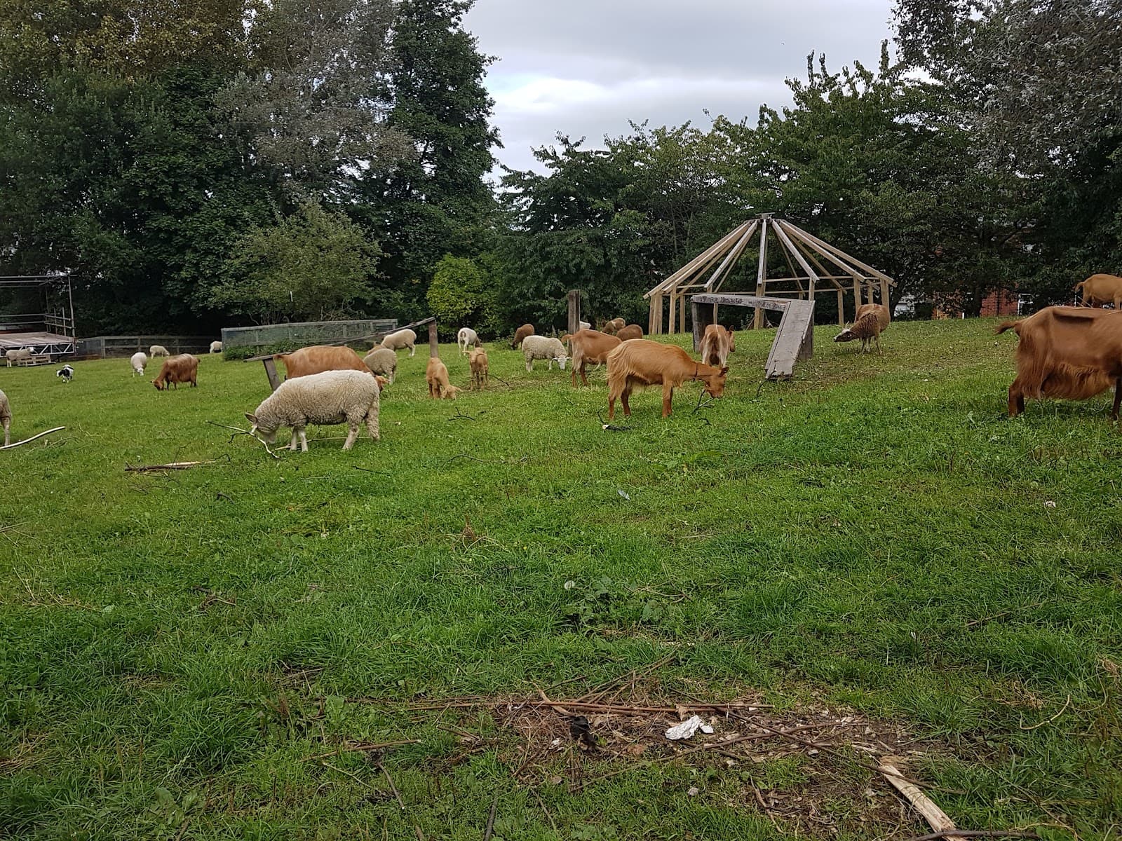 Heeley City Farm