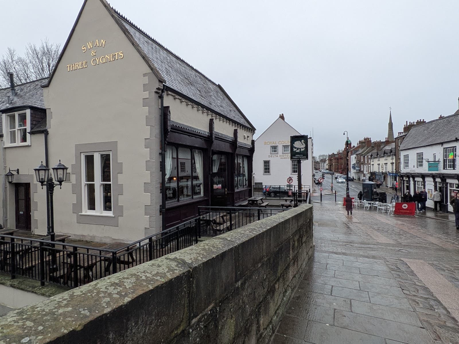 Swan & Three Cygnets
