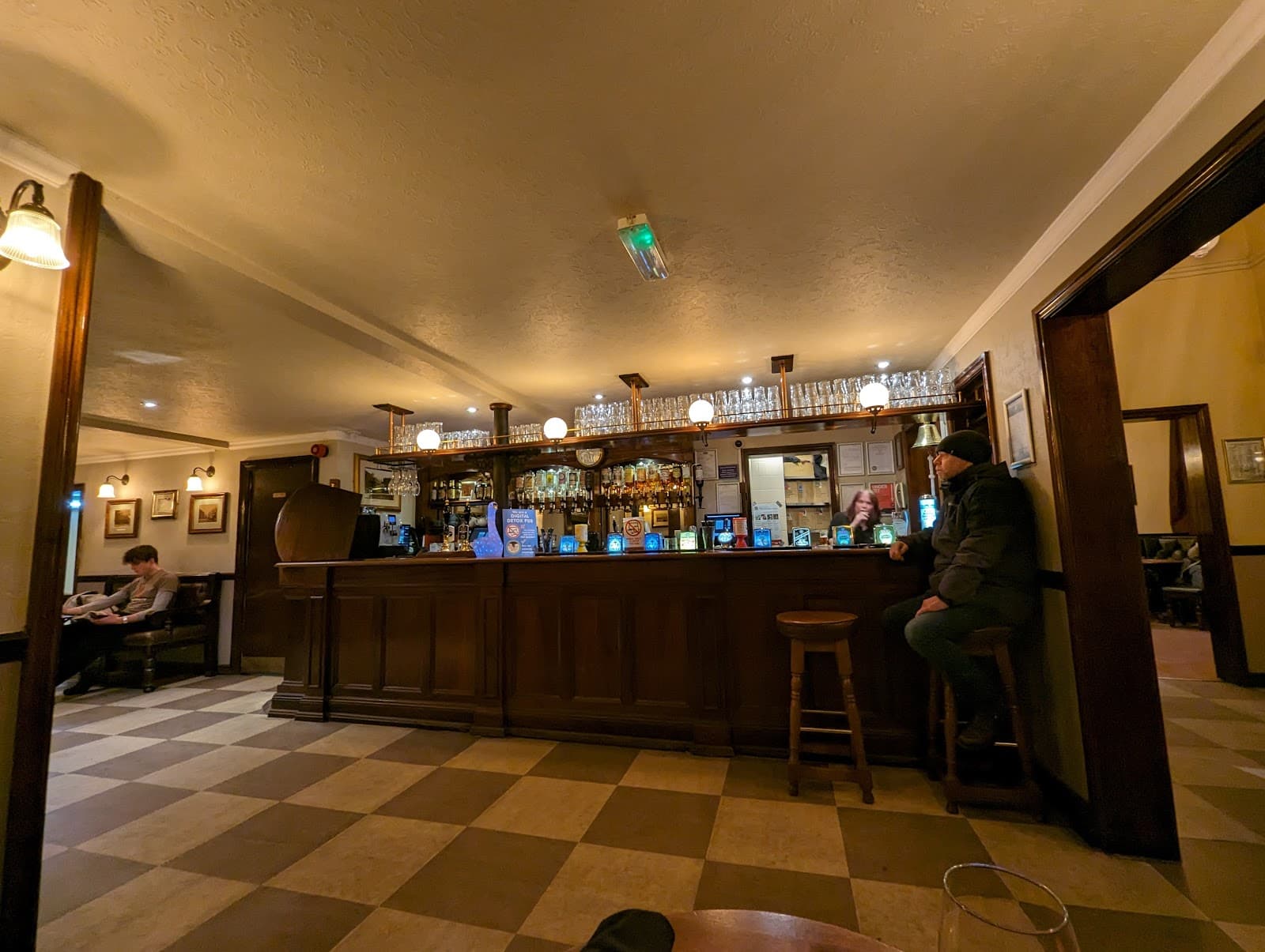 Swan & Three Cygnets