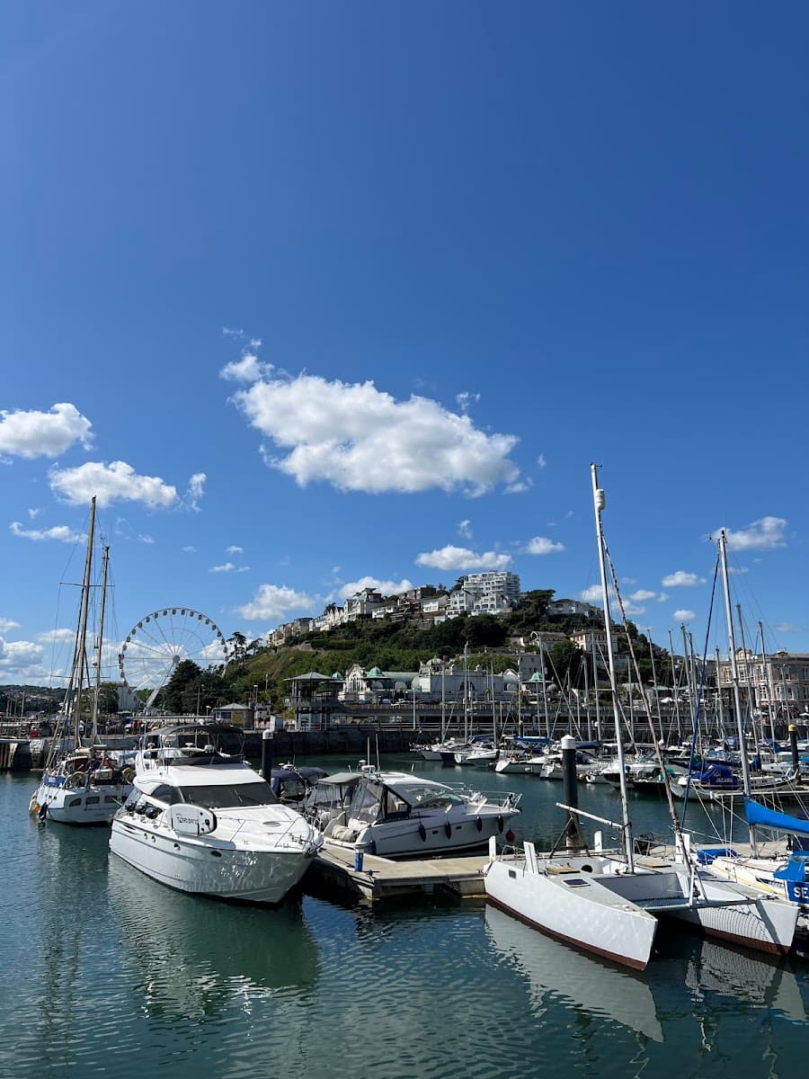 Top Of The Bay