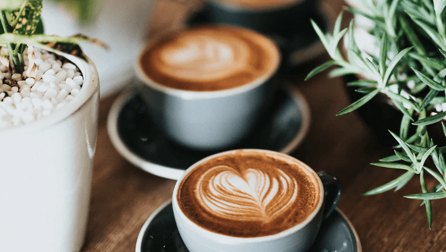 The Wood Bar | Barista Coffee, Brunch & Lunch