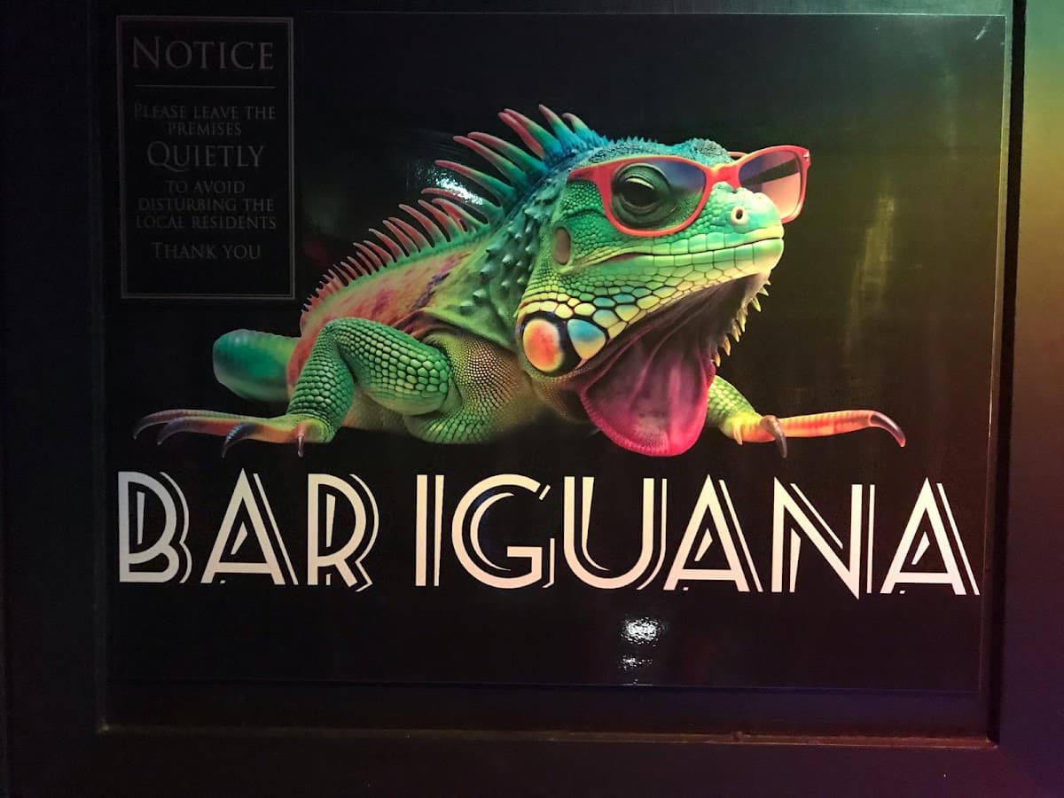 Bar Iguana
