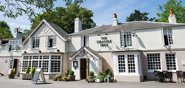 The Orange Tree