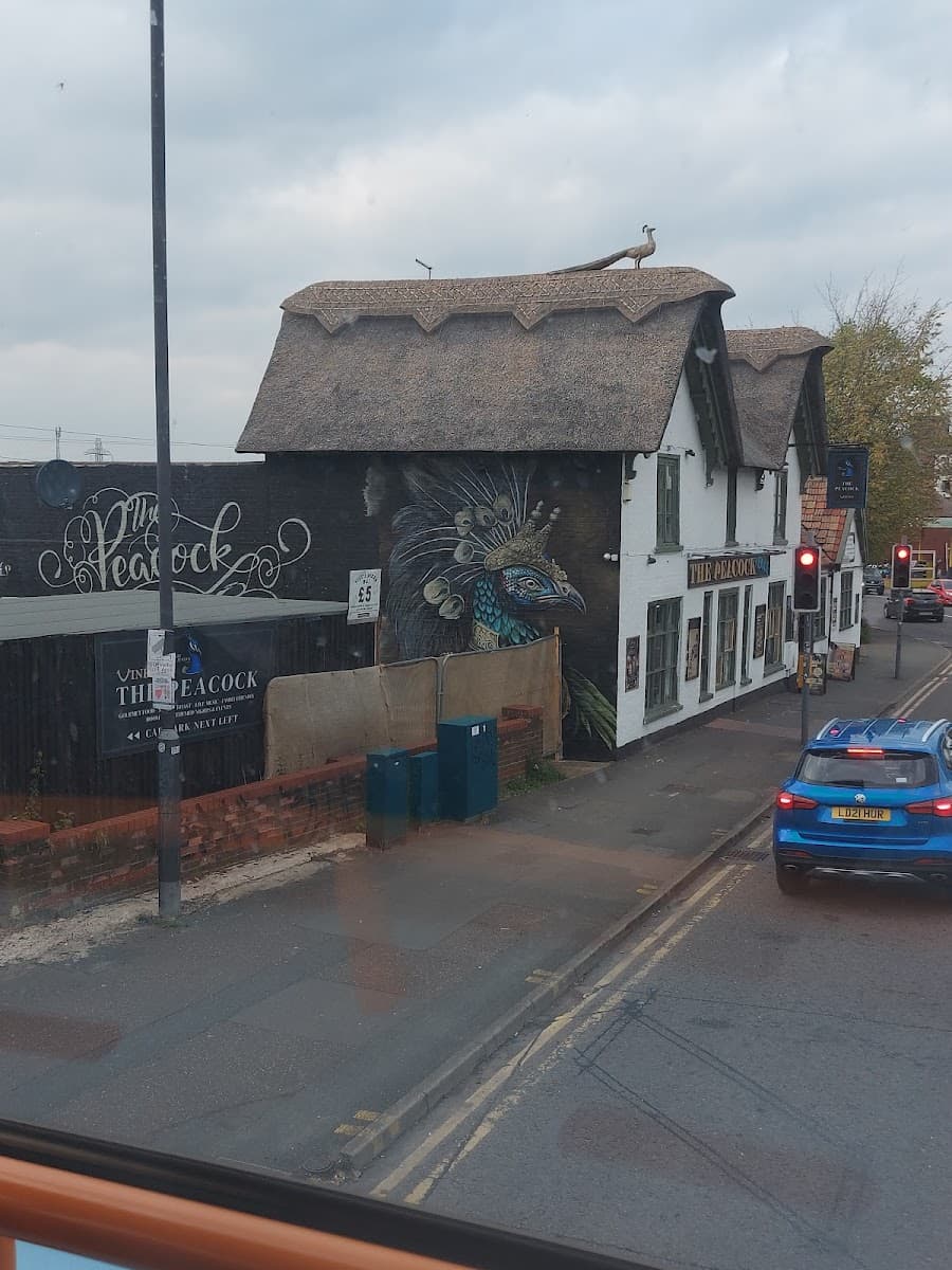 The Peacock Pub