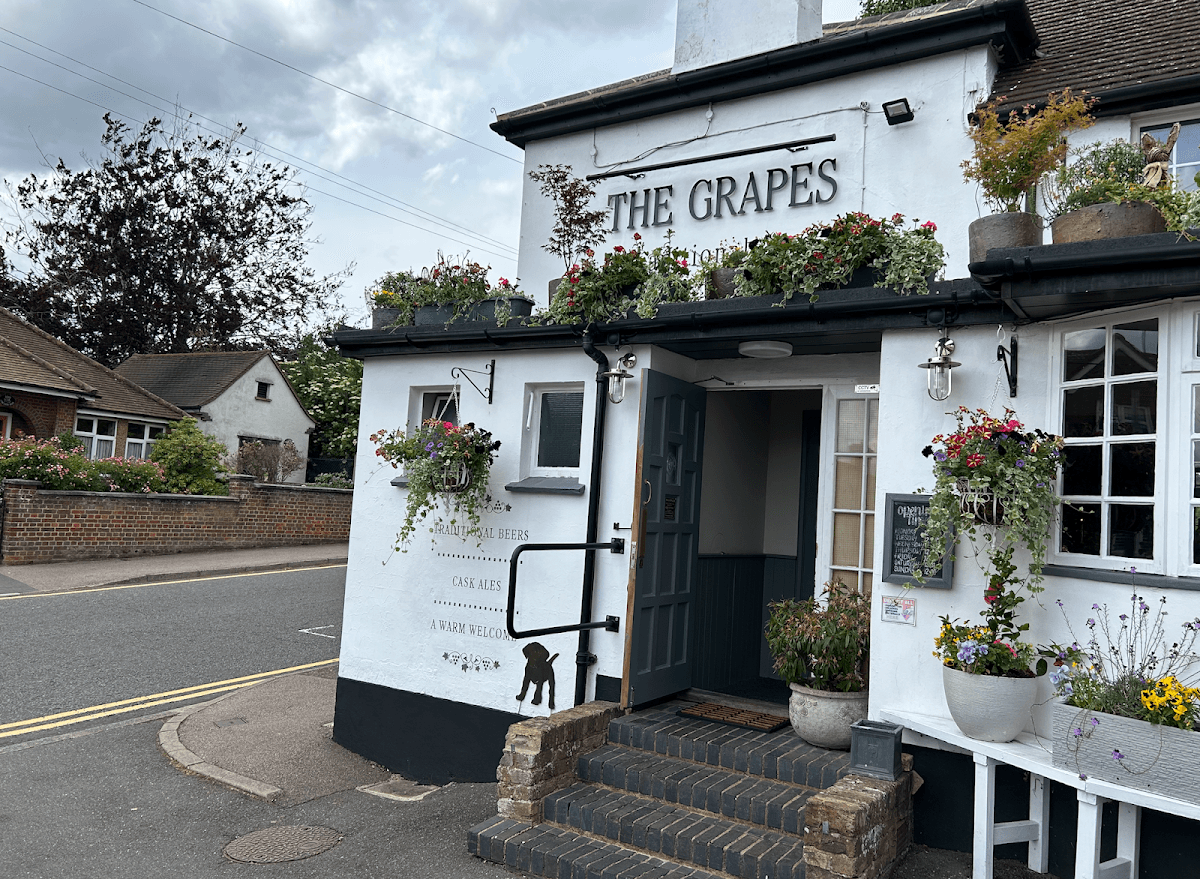 The Grapes