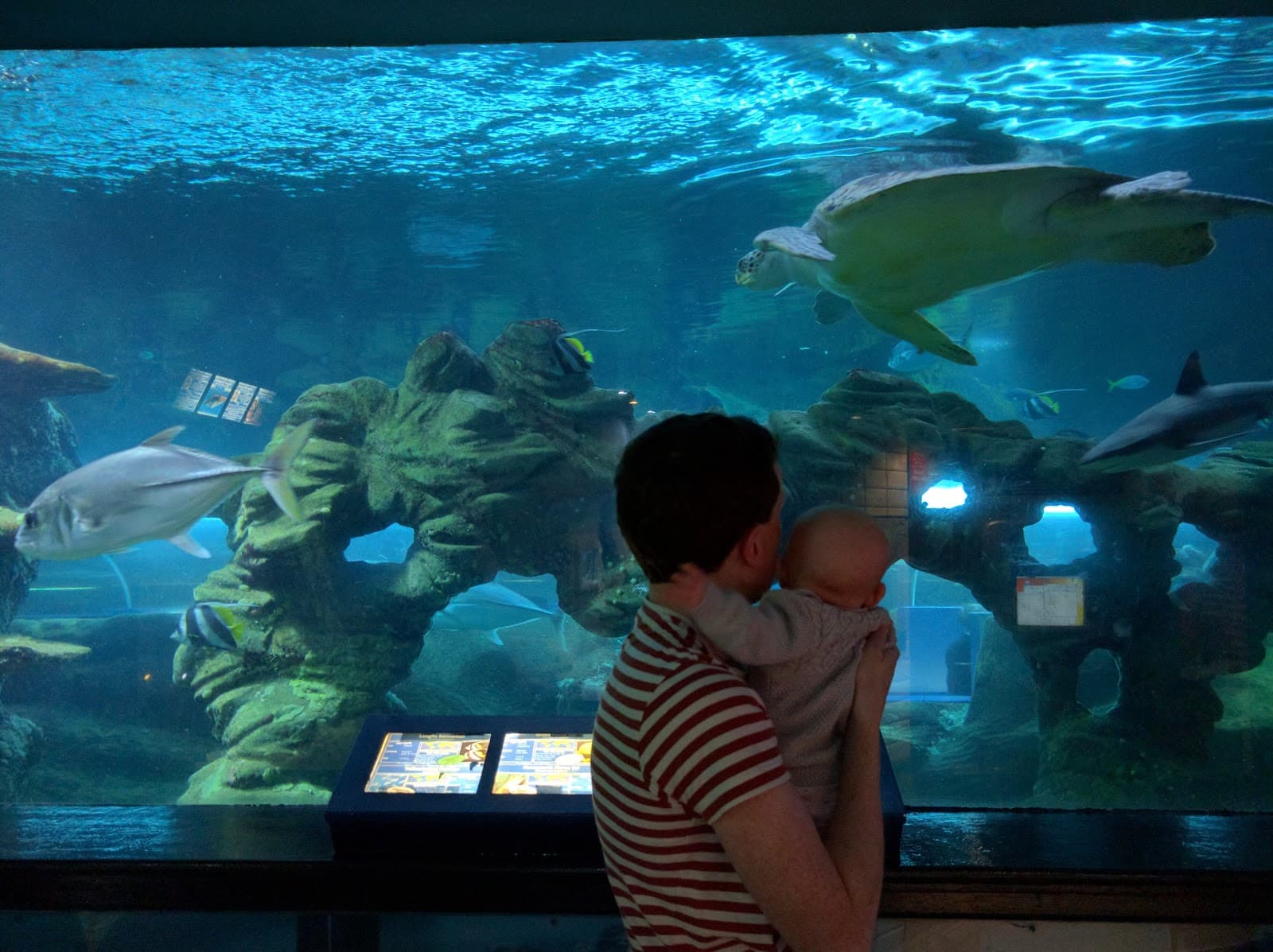 Oceanarium