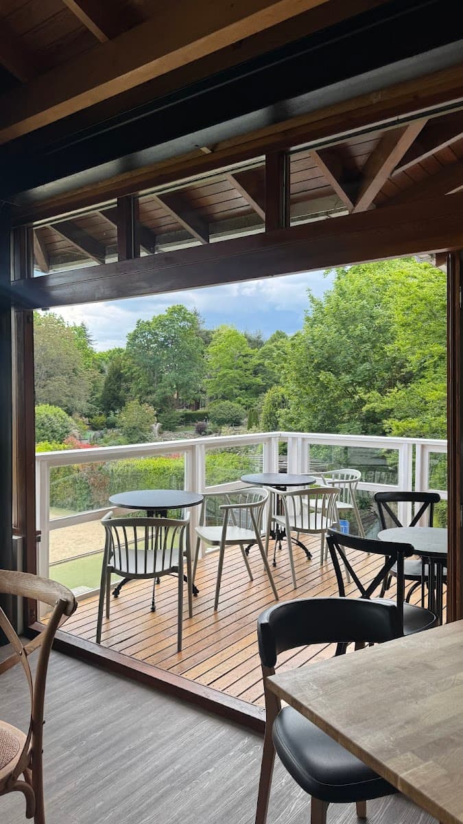 Treetop Café