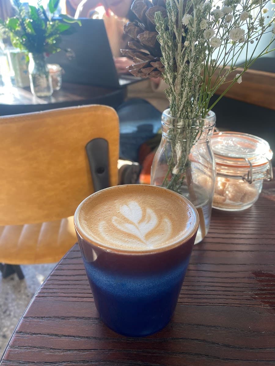 Sloth Coffee Co.