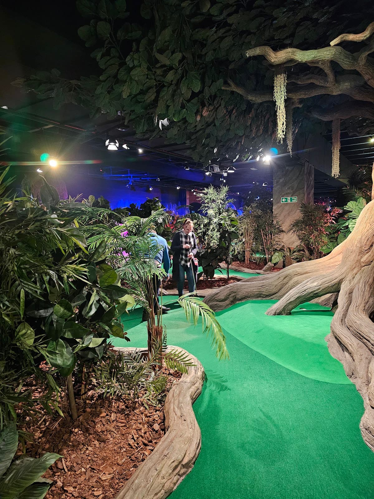 Treetop Golf Leicester