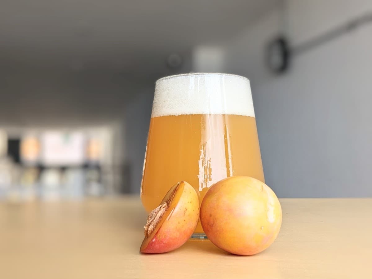 Xylo Brewing Ltd