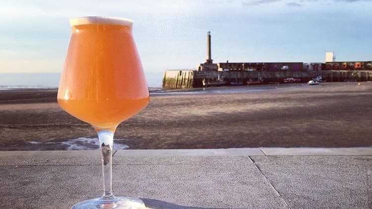 Xylo Brewing Ltd