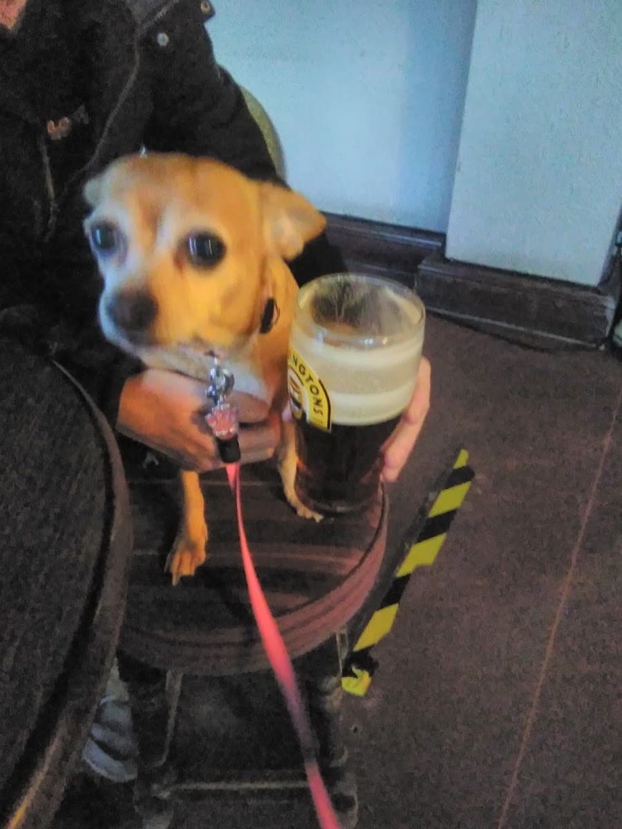 Yard of Ale