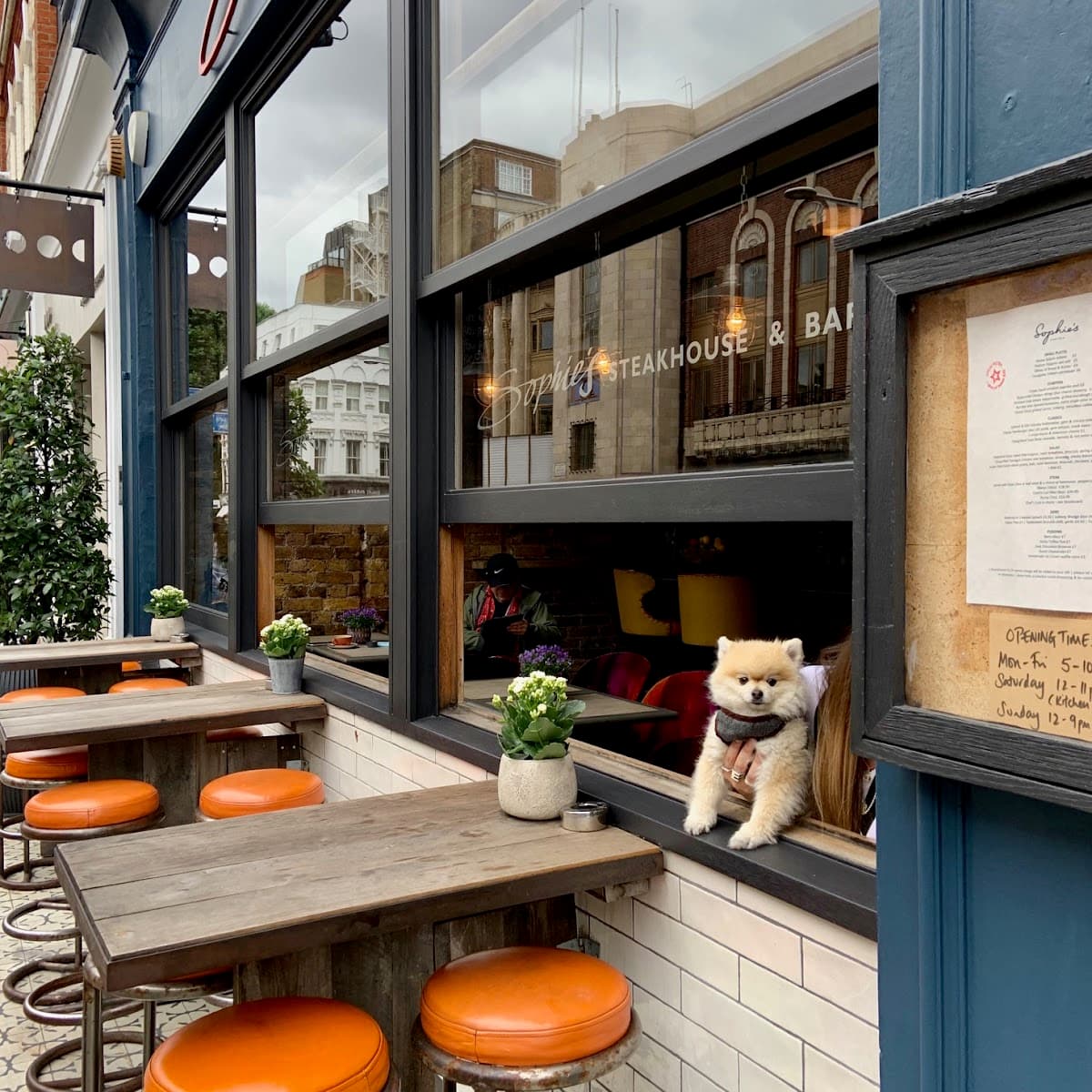 Sophie's Chelsea
