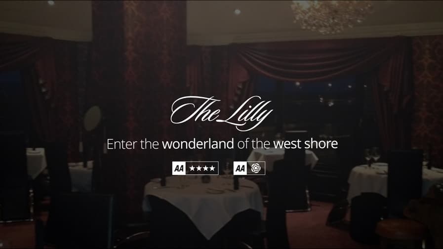 The Lilly