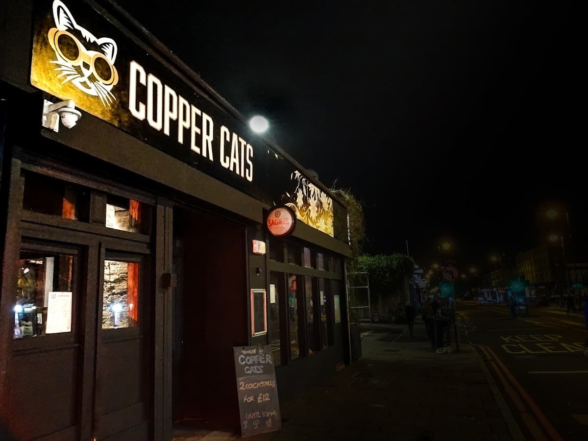Copper Cats