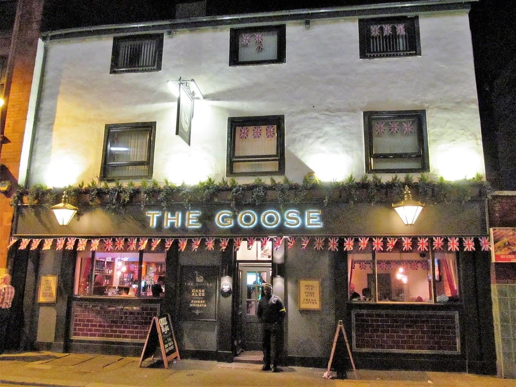 The Goose