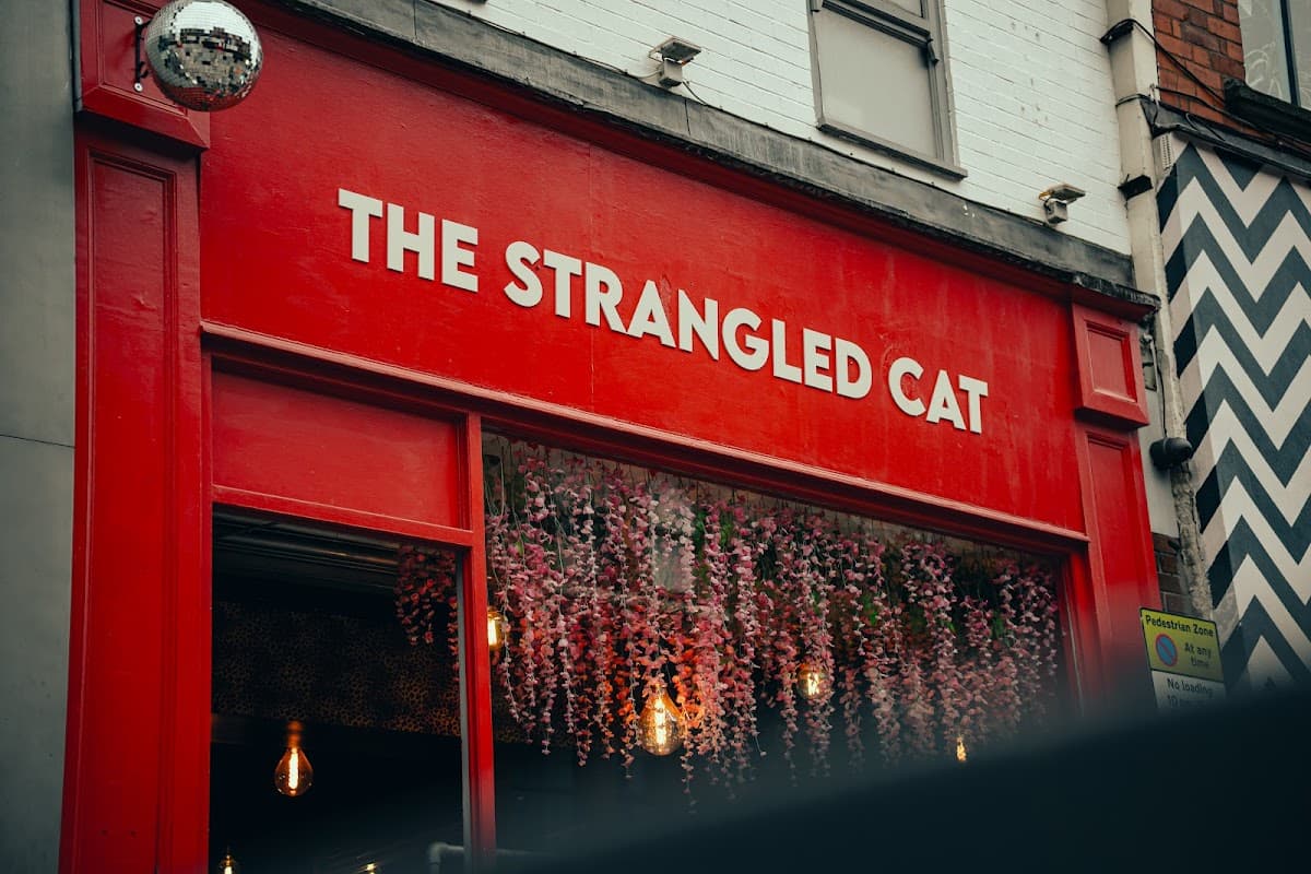 The Strangled Cat Hanley
